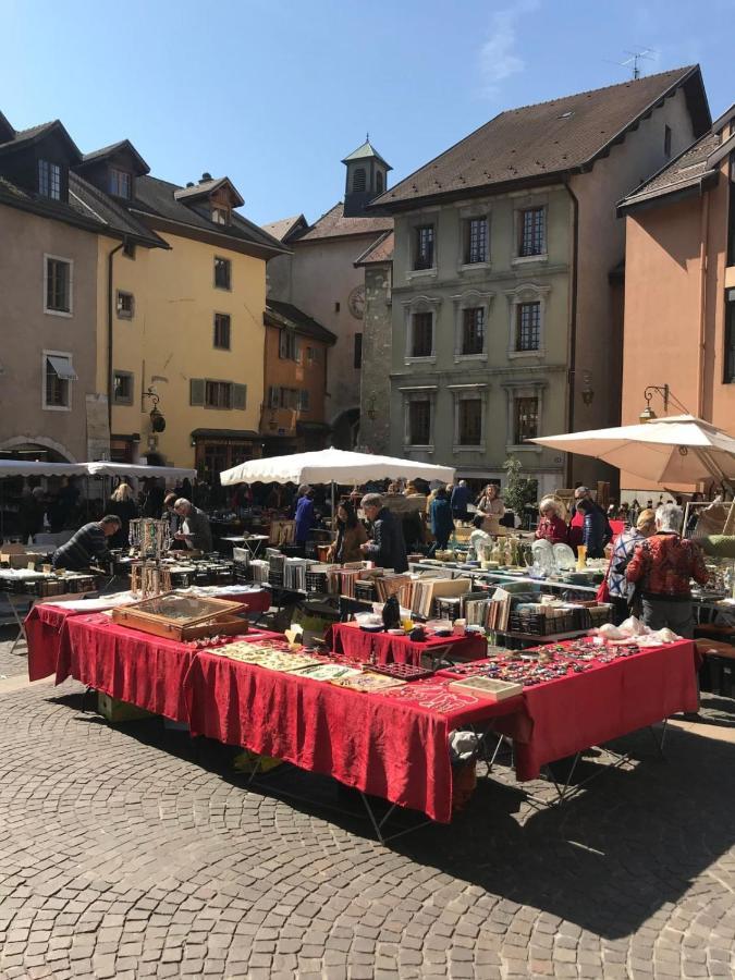 L'appart' Du 10 - T3 4 Au Centre D'annecy Avec Vue Sur Le Canal Appartement *